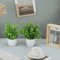 Mini Artificial Potted Plants Set 4PCS Fake Bonsai Desk Decor Indoor Greenery 2
