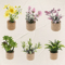 1 12 Miniature Dollhouse Plants Set Realistic Mini Potted Plant Decor For DIY Scenes 0