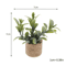 1 12 Miniature Dollhouse Plants Set Realistic Mini Potted Plant Decor For DIY Scenes 5