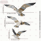 Retro Wooden Seagull Wall Decor Set Coastal Seagull Wall Hanging Ornaments 3