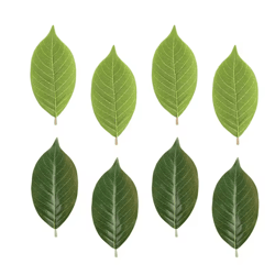 pu artificial magnolia leaves set – realistic fake magnolia leaf decor for diy crafts