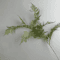 Luxury Realistic Artificial Pine Branch Elegant Evergreen Decor Stem 3
