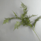 Luxury Realistic Artificial Pine Branch Elegant Evergreen Decor Stem 3
