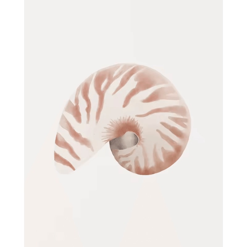 Watercolor Seashell Starfish Canvas Wall Art Set Coastal Ocean Home Decor 1