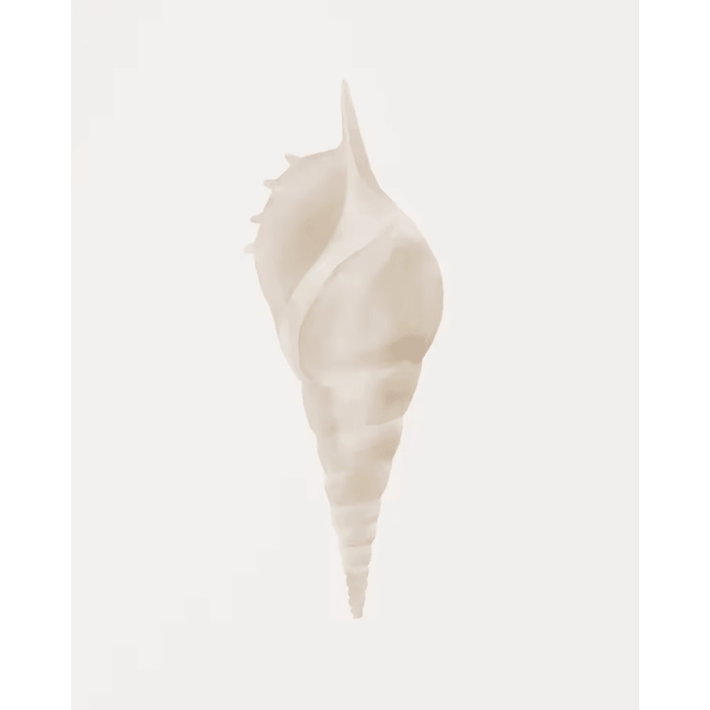 Watercolor Seashell Starfish Canvas Wall Art Set Coastal Ocean Home Decor 2