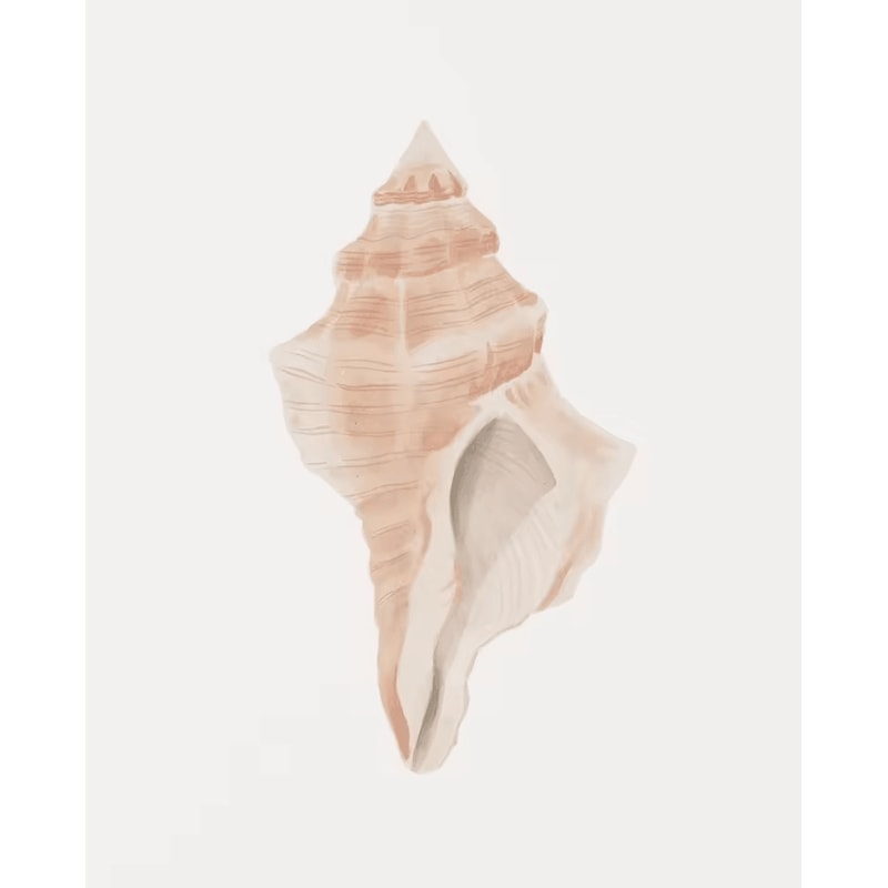 Watercolor Seashell Starfish Canvas Wall Art Set Coastal Ocean Home Decor 3