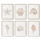 Watercolor Seashell Starfish Canvas Wall Art Set Coastal Ocean Home Decor 4