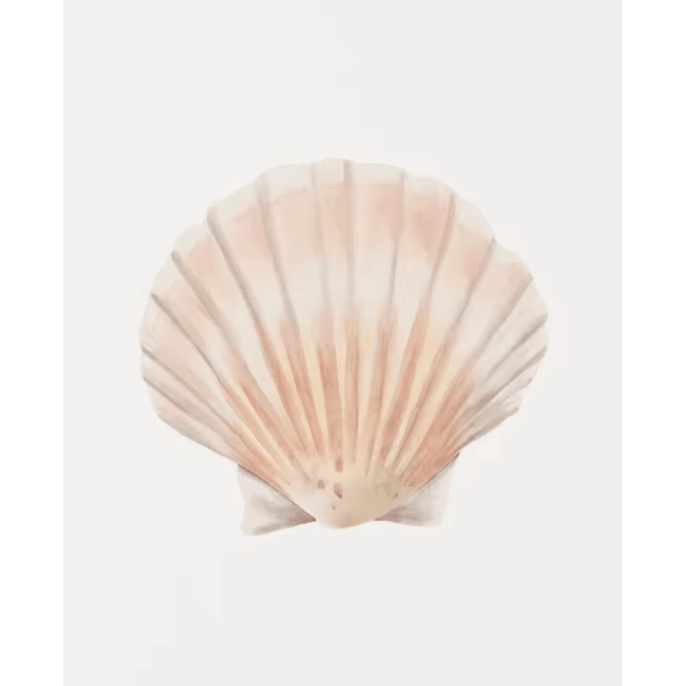 Watercolor Seashell Starfish Canvas Wall Art Set Coastal Ocean Home Decor 6