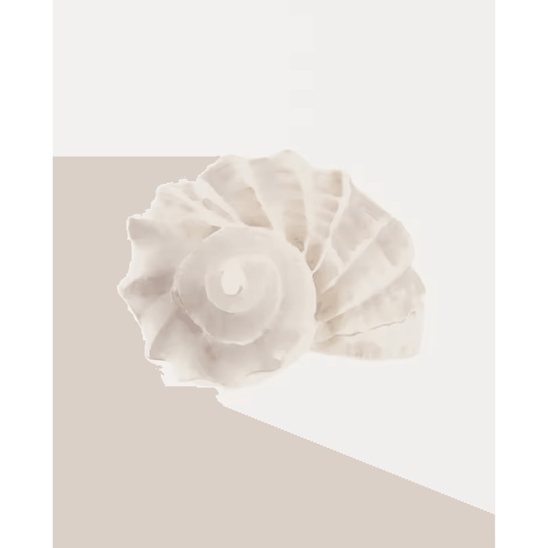 Watercolor Seashell Starfish Canvas Wall Art Set Coastal Ocean Home Decor 7