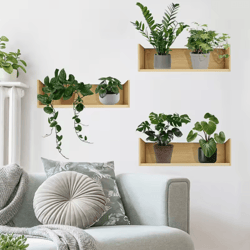 3-piece plant wall sticker set – minimalist potted plant vinyl decals for modern spaces