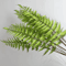 Evergreen Real Touch Fern Branches Lifelike Artificial Fern Plant Decor 4