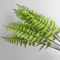 Evergreen Real Touch Fern Branches Lifelike Artificial Fern Plant Decor 4