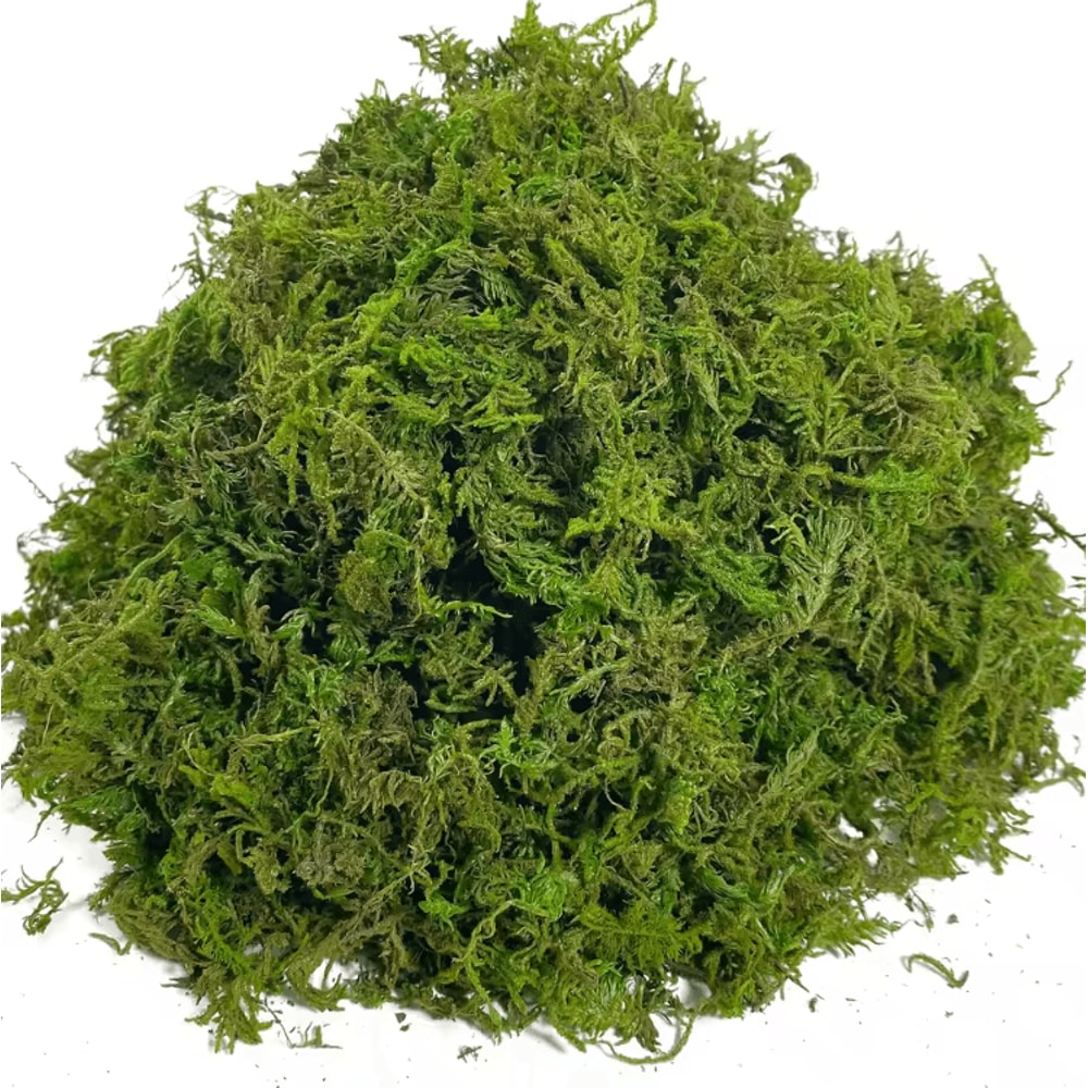 Lush Green Artificial Moss Filler Realistic Faux Moss For Crafts Decor 2
