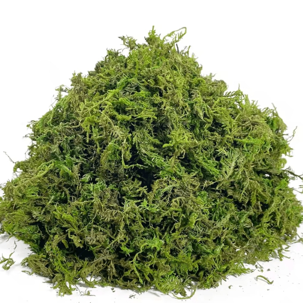 Lush Green Artificial Moss Filler Realistic Faux Moss For Crafts Decor 3