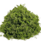 Lush Green Artificial Moss Filler Realistic Faux Moss For Crafts Decor 3