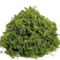 Lush Green Artificial Moss Filler Realistic Faux Moss For Crafts Decor 3