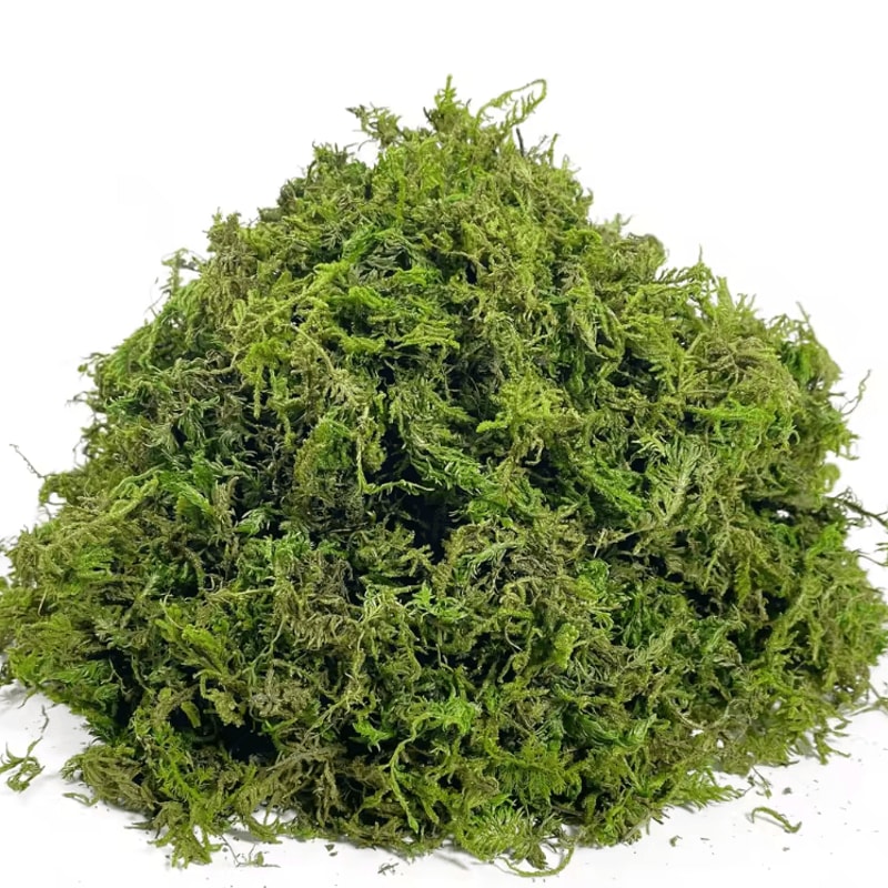 Lush Green Artificial Moss Filler Realistic Faux Moss For Crafts Decor 3
