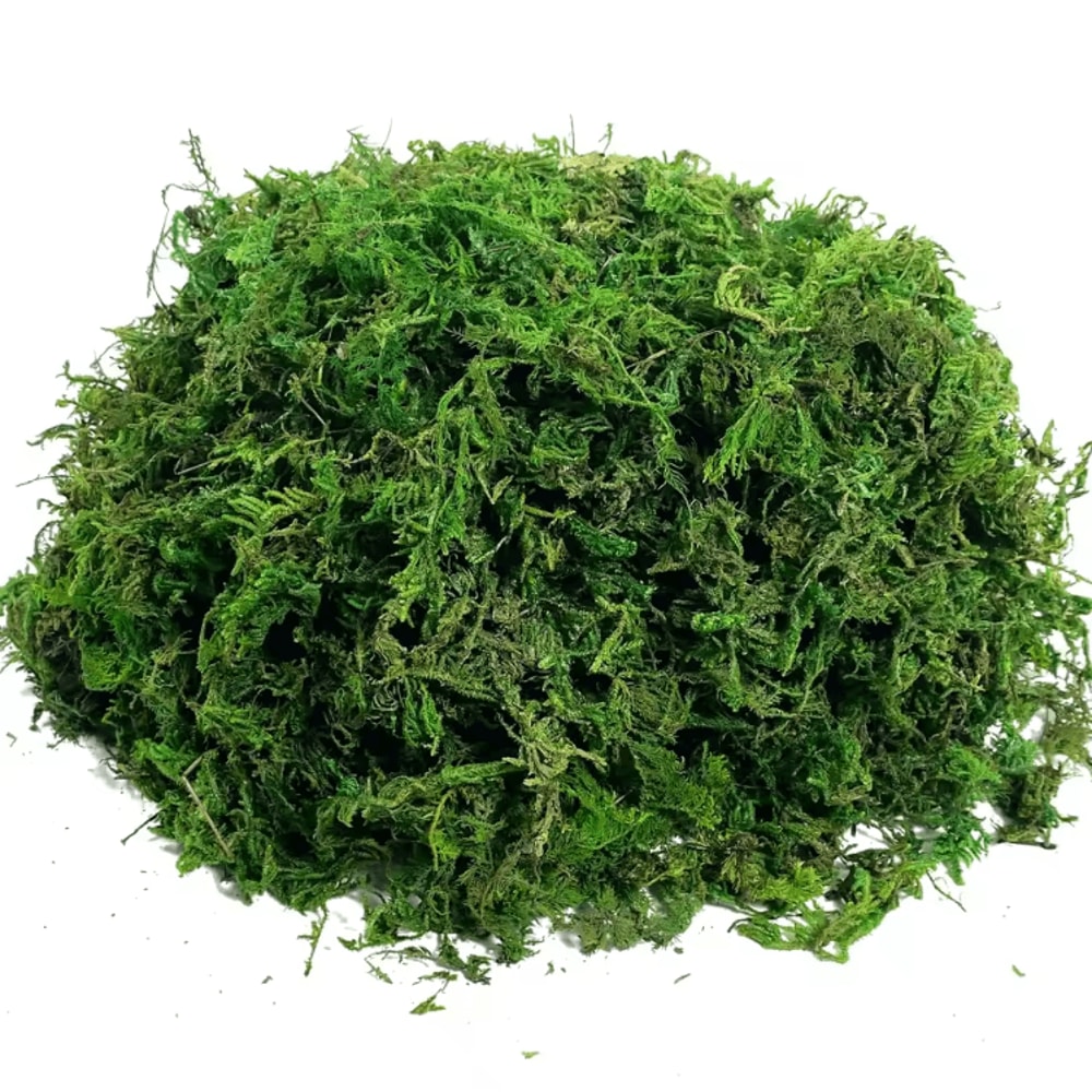 Lush Green Artificial Moss Filler Realistic Faux Moss For Crafts Decor 4