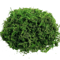Lush Green Artificial Moss Filler Realistic Faux Moss For Crafts Decor 4