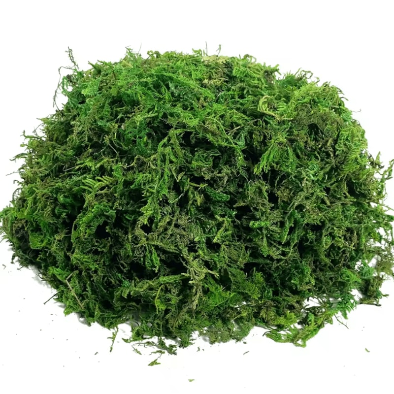 Lush Green Artificial Moss Filler Realistic Faux Moss For Crafts Decor 4