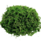 Lush Green Artificial Moss Filler Realistic Faux Moss For Crafts Decor 5