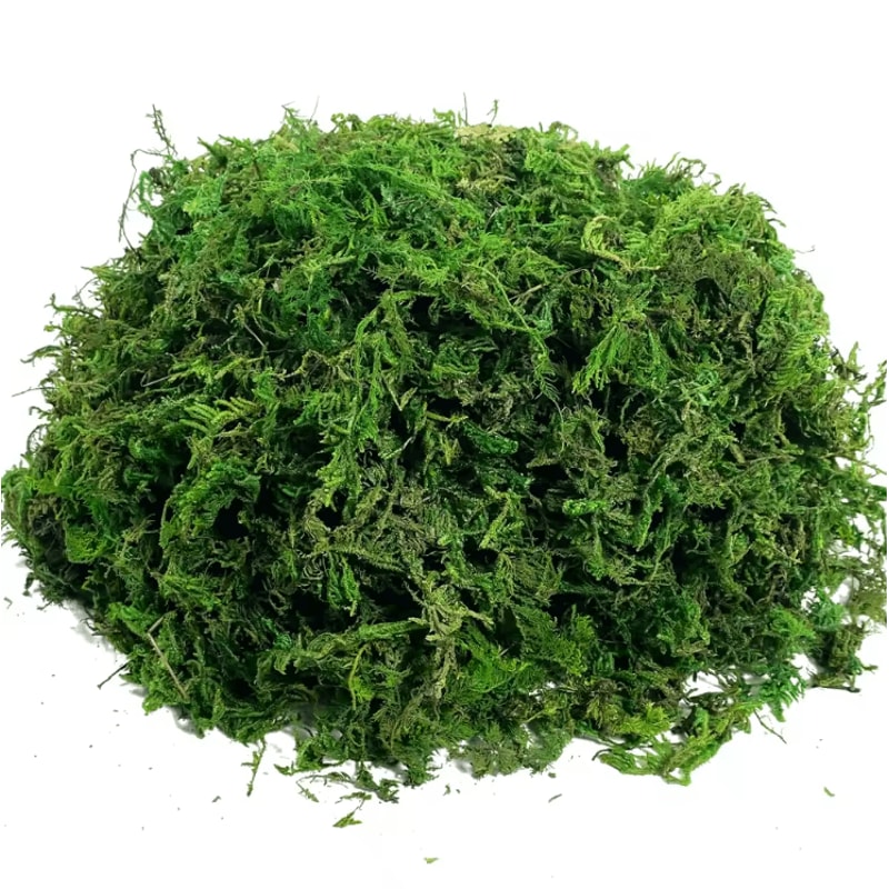 Lush Green Artificial Moss Filler Realistic Faux Moss For Crafts Decor 5