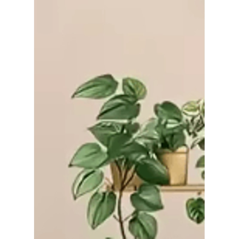 3D Flower Shelf Wall Stickers Creative Potted Plant Decal Decor For Home 1