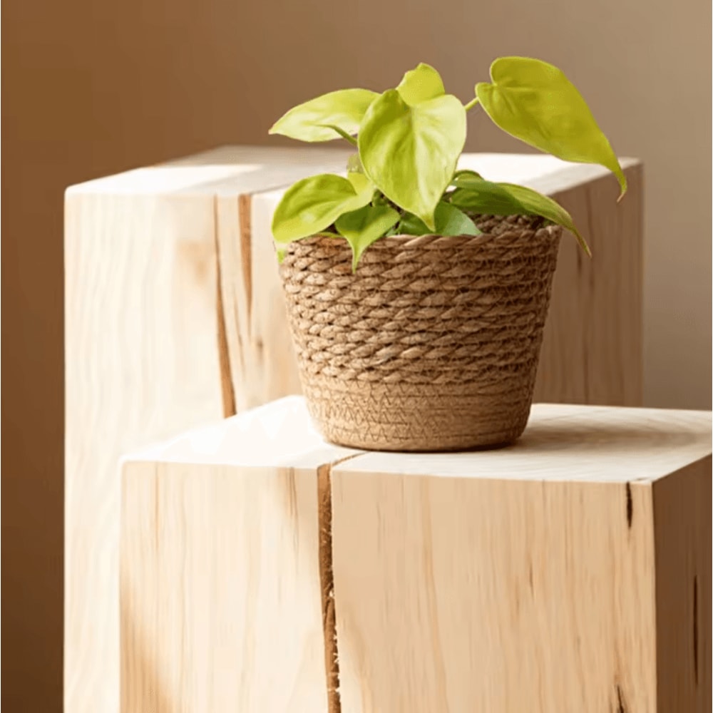Handwoven Rattan Planter Basket Natural Wicker Flower Pot Storage Decor 1