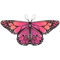 Butterfly Fairy Wings Cape For Kids Lightweight Pixie Costume Shawl 4