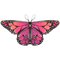Butterfly Fairy Wings Cape For Kids Lightweight Pixie Costume Shawl 4