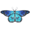 Butterfly Fairy Wings Cape For Kids Lightweight Pixie Costume Shawl 7