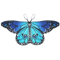 Butterfly Fairy Wings Cape For Kids Lightweight Pixie Costume Shawl 7