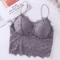 Sexy Lace Crop Top Bustier With Zipper Back Summer Bralette Tank 1