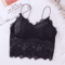 Sexy Lace Crop Top Bustier With Zipper Back Summer Bralette Tank 2
