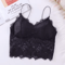 Sexy Lace Crop Top Bustier With Zipper Back Summer Bralette Tank 2