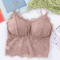 Sexy Lace Crop Top Bustier With Zipper Back Summer Bralette Tank 4