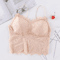 Sexy Lace Crop Top Bustier With Zipper Back Summer Bralette Tank 5