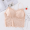 Sexy Lace Crop Top Bustier With Zipper Back Summer Bralette Tank 5