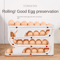 RollFlow 4Layer Automatic Egg Roller Rack SpaceSaving Large Capacity Egg Organizer 0