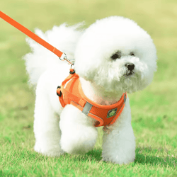 comfortfit reflective dog harness set – breathable vest leash for small & medium pets