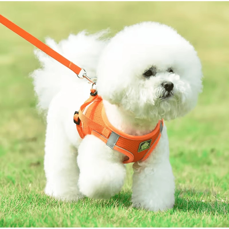 ComfortFit Reflective Dog Harness Set Breathable Vest Leash For Small Medium Pets 0