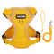 Breathable Mesh Puppy Harness Leash Set Lightweight Adjustable Vest For Small Dogs Cats 3
