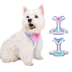 color block mesh dog harness & leash set – breathable reflective vest with handle for small dogs