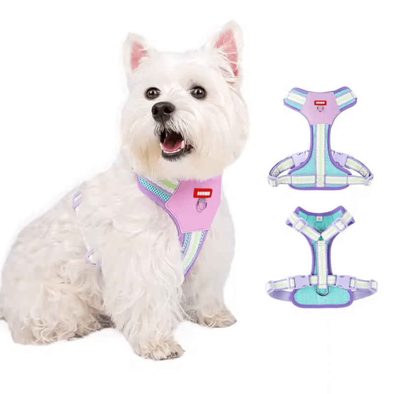 Color Block Mesh Dog Harness Leash Set Breathable Reflective Vest With Handle For Small Dogs 0
