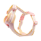 Color Block Mesh Dog Harness Leash Set Breathable Reflective Vest With Handle For Small Dogs 1