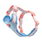 Color Block Mesh Dog Harness Leash Set Breathable Reflective Vest With Handle For Small Dogs 2