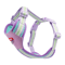 Color Block Mesh Dog Harness Leash Set Breathable Reflective Vest With Handle For Small Dogs 4