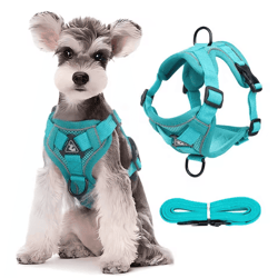 no-pull reflective dog harness & leash set – breathable vest for small & medium dogs