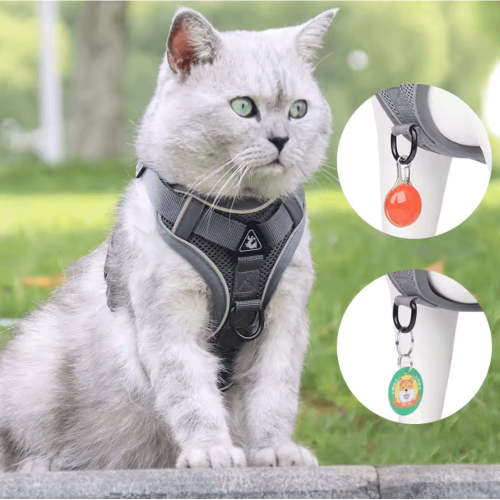 NoPull Reflective Dog Harness Leash Set Breathable Vest For Small Medium Dogs 1