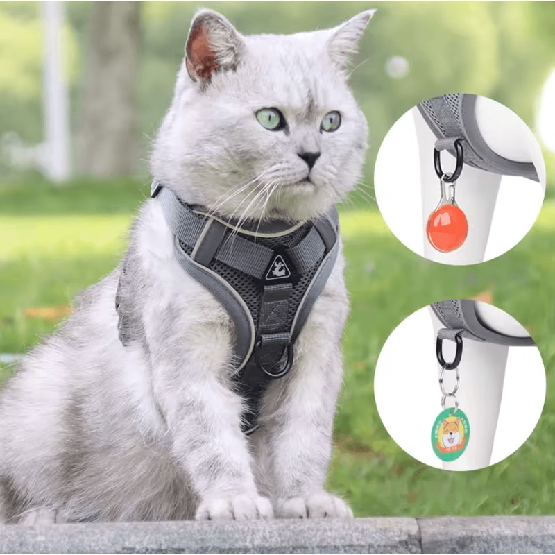 NoPull Reflective Dog Harness Leash Set Breathable Vest For Small Medium Dogs 1